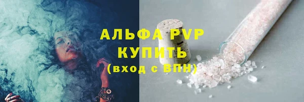 спиды Богородск