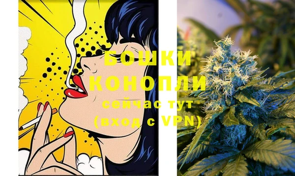 спиды Богородск