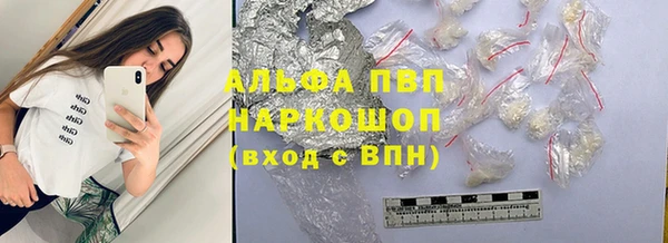 спиды Богородск
