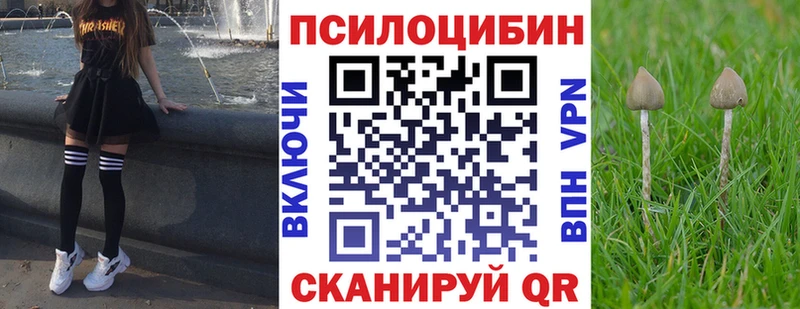 Галлюциногенные грибы Psilocybe Красновишерск